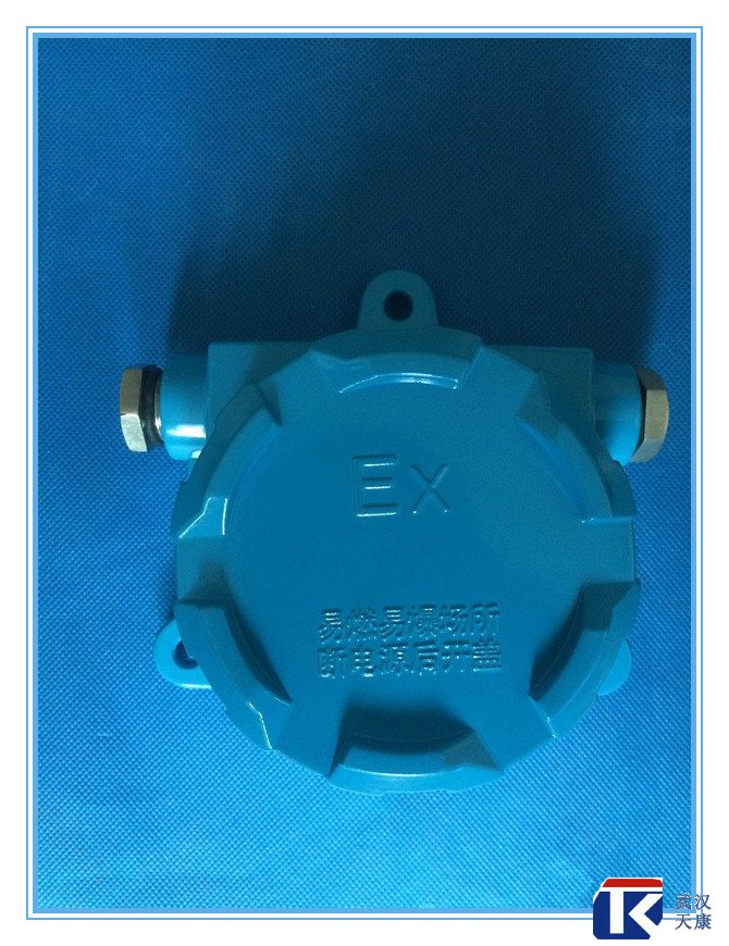 壁掛式防爆熱電阻/pt100、4-20mA輸出